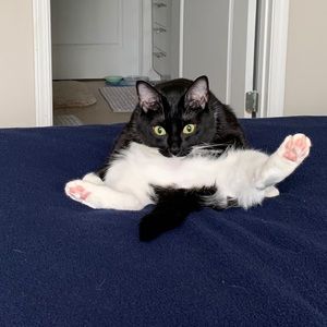 Meet your Posher, Brandon